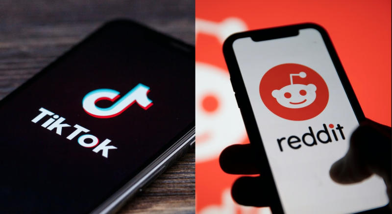 TikTok và Reddit có thể là nền tảng trực tuyến được tìm kiếm nhiều nhất?- Ảnh 1.