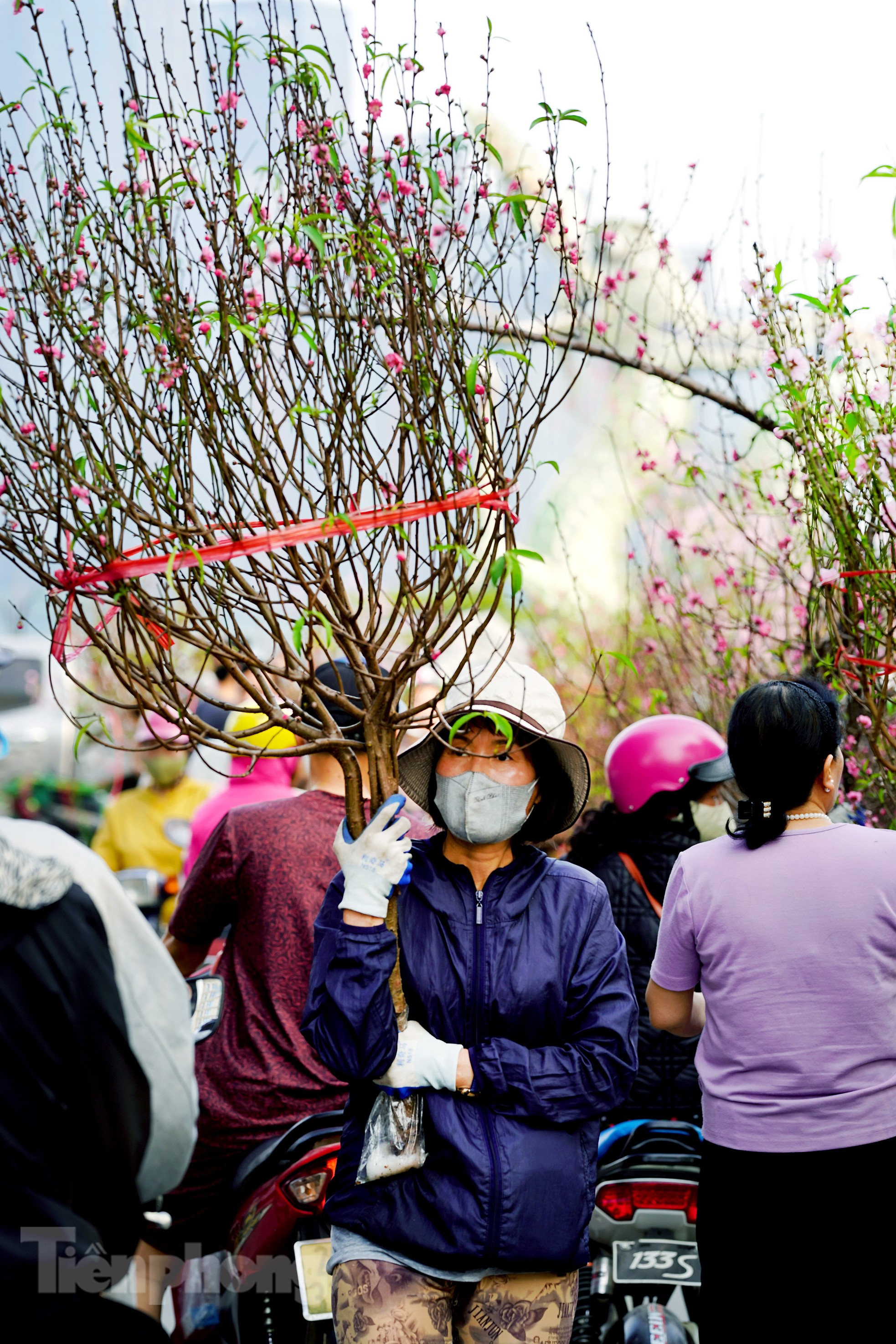 Đào quất 'ê hề', tiểu thương quyết không hạ giá dù sức mua kém- Ảnh 5.