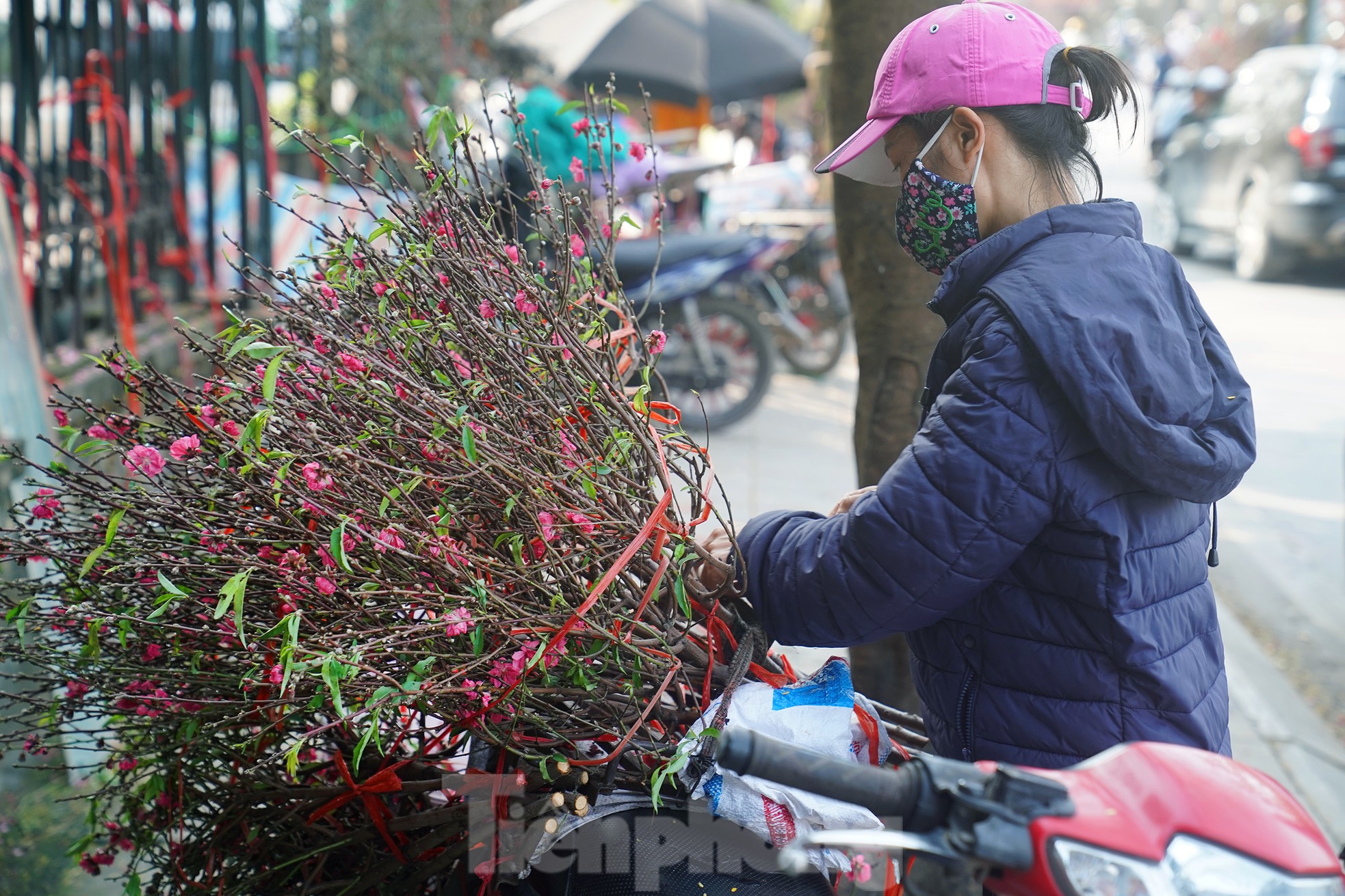 Đào quất 'ê hề', tiểu thương quyết không hạ giá dù sức mua kém- Ảnh 8.