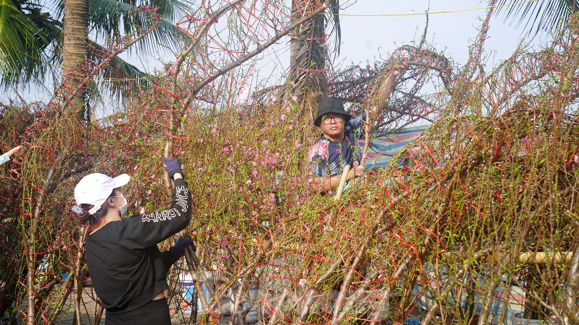 Đào quất 'ê hề', tiểu thương quyết không hạ giá dù sức mua kém- Ảnh 12.