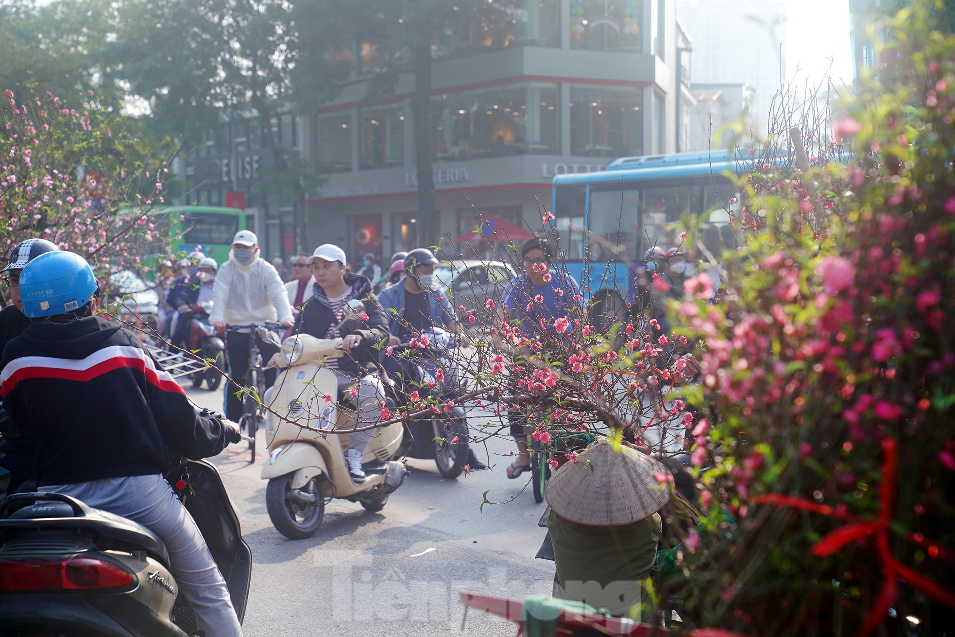 Đào quất 'ê hề', tiểu thương quyết không hạ giá dù sức mua kém- Ảnh 4.