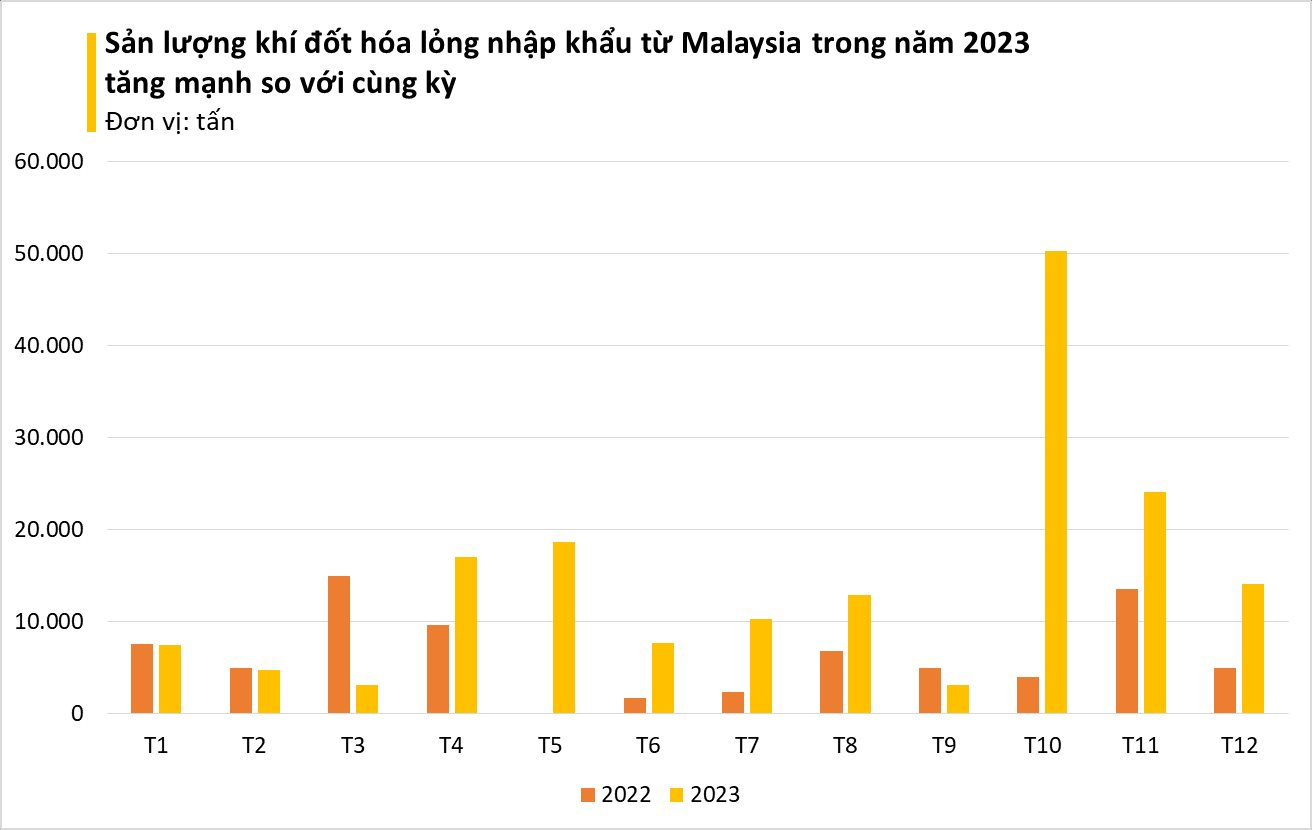 Giá rẻ bất ngờ, một mặt hàng từ Malaysia ồ ạt tràn vào Việt Nam, nhập khẩu tăng đột biến 3 chữ số trong năm 2023- Ảnh 3.