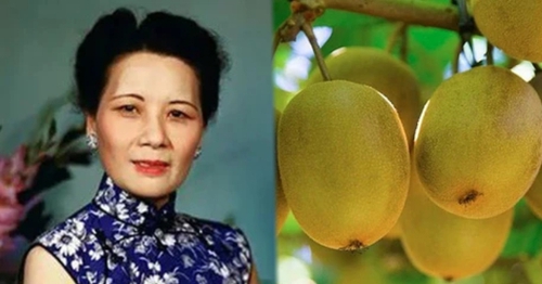 Tống Mỹ Linh sống thọ 106 tuổi, cuối đời da vẫn hồng hào nhờ thường xuyên ăn 1 loại quả chợ Việt có nhiều