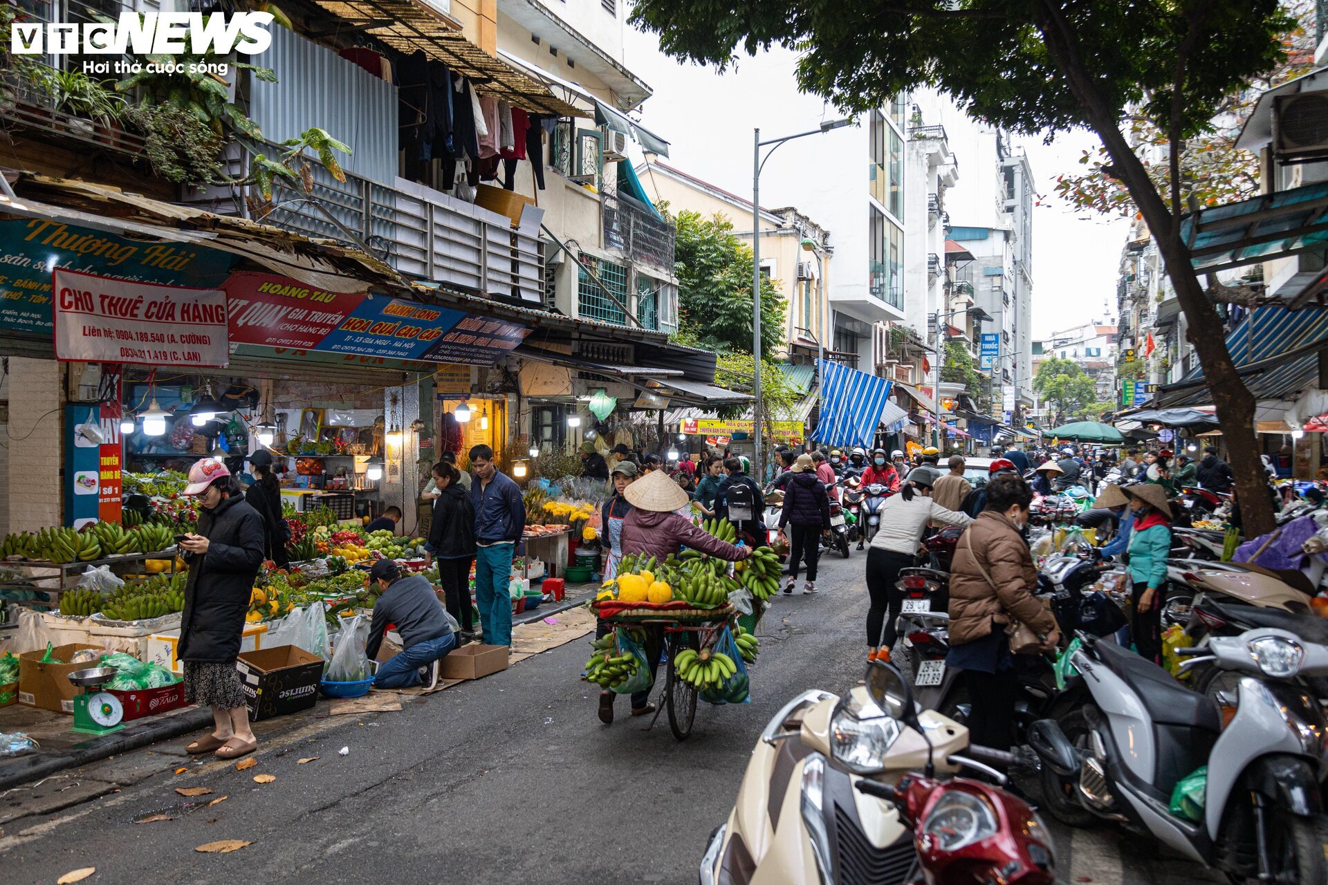 Người Hà Nội nô nức mua sắm, chờ đón Tết Giáp Thìn 2024- Ảnh 2.