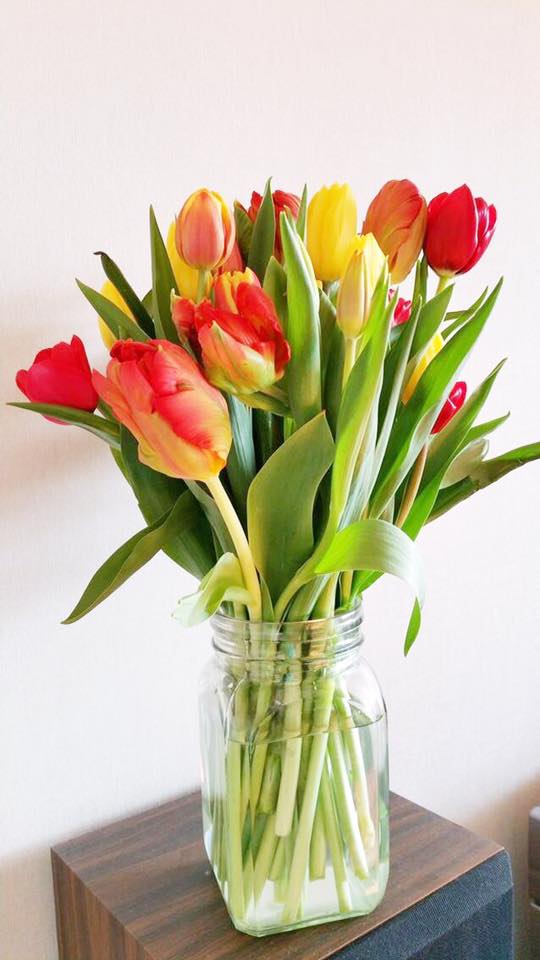 Mùa này hoa tulip rất rẻ, từ 300 nghìn/bó hàng Hà Lan chỉ còn vài chục nghìn: Làm thế này thì tươi 10 ngày- Ảnh 5.