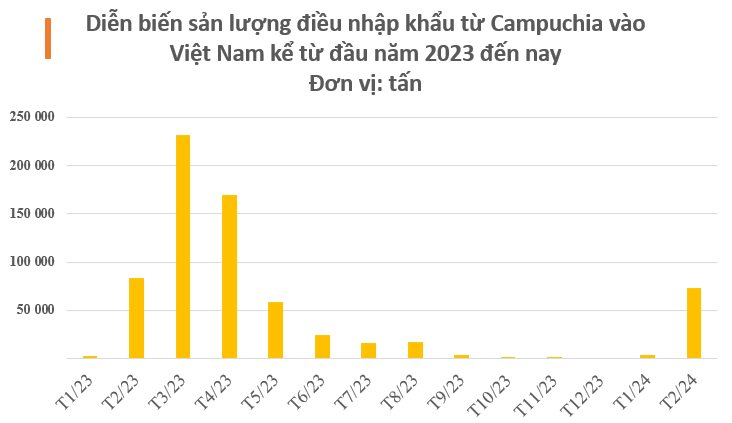 Một mặt hàng từ Campuchia vào Việt Nam tăng đột biến 24 lần trong tháng 2, là ‘cứu tinh’ hiếm hoi giúp Việt Nam thống trị toàn cầu ngành hàng này- Ảnh 3.
