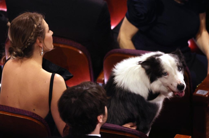 Diễn viên bị cấm đến Oscar 2024 bất ngờ xuất hiện, có khoảnh khắc 