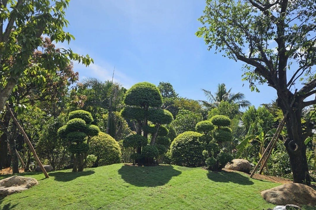 "Người đẹp Tây Đô" Việt Trinh sau giải nghệ: Là Phật tử nhiều năm, ăn chay, sống an yên ở nhà vườn 3000m2- Ảnh 7.