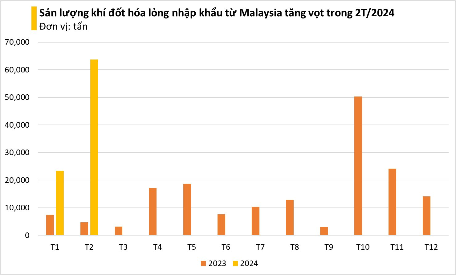 Giá cực rẻ, một mặt hàng từ Malaysia đang ồ ạt tràn vào Việt Nam: Nhập khẩu tăng đột biến hơn 1.200%, Trung Đông thu hàng trăm triệu USD từ Việt Nam- Ảnh 4.