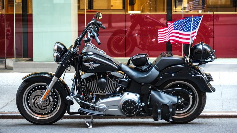 Những sự thật thú vị về nguồn gốc hãng mô tô Harley-Davidson nổi tiếng- Ảnh 3.