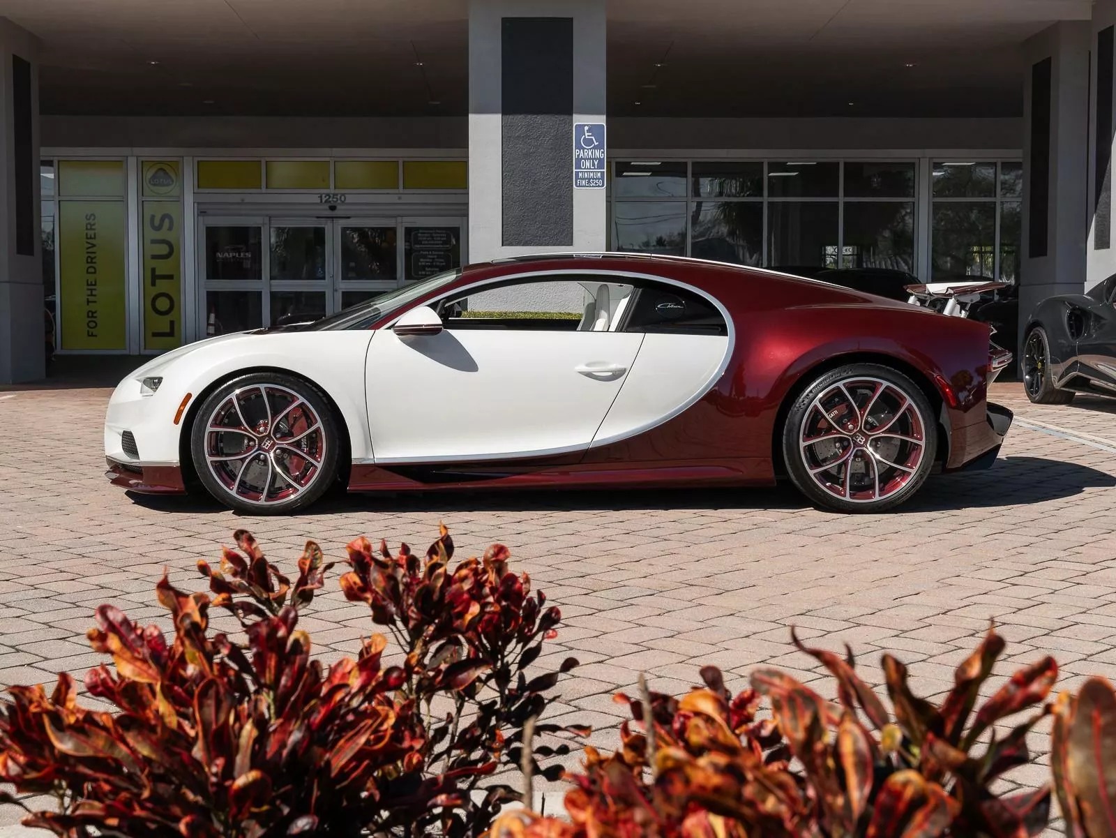 Rao bán Bugatti Chiron giá quy đổi hơn 95 tỷ đồng, chủ xe hứa tặng kèm Rolls-Royce Wraith hợp tông màu- Ảnh 3.