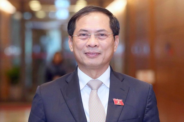 Lần đầu tiên chất vấn Bộ trưởng Bộ Ngoại giao Bùi Thanh Sơn- Ảnh 1.
