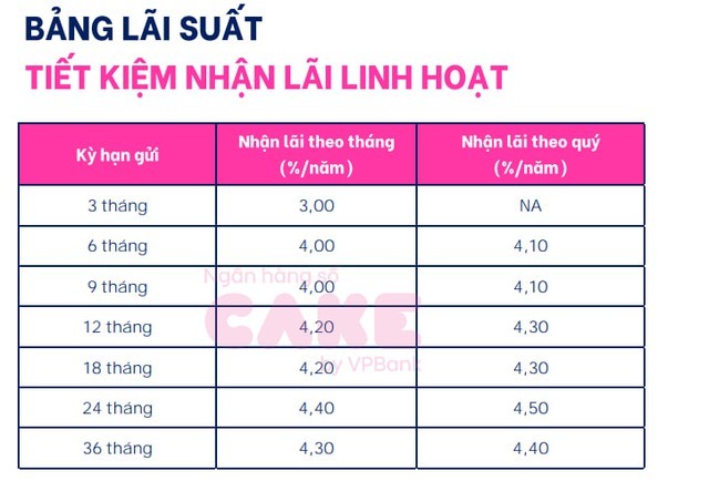 Lãi suất huy động ngân hàng số Cake by VPBank mới nhất tháng 3/2024: Mức cao nhất là bao nhiêu?- Ảnh 2.