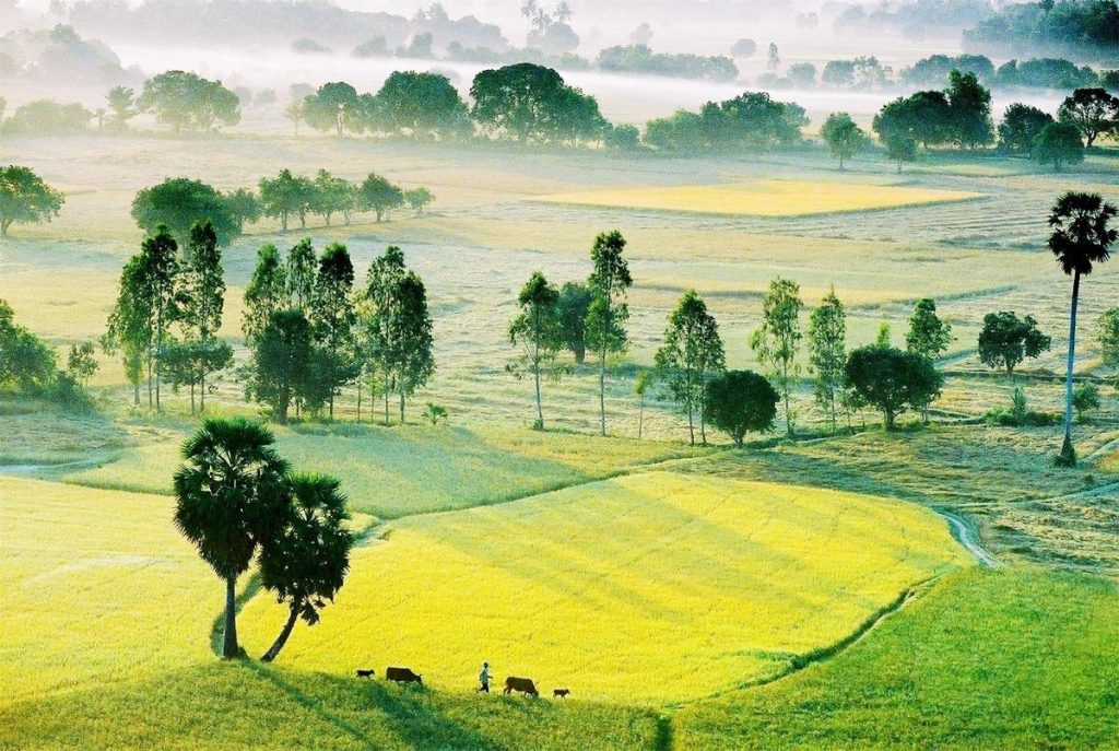 Sở hữu vùng đồng bằng phì nhiêu nhất Đông Nam Á, Việt Nam sẽ có cơ chế đặc thù cho mảnh đất này- Ảnh 6.