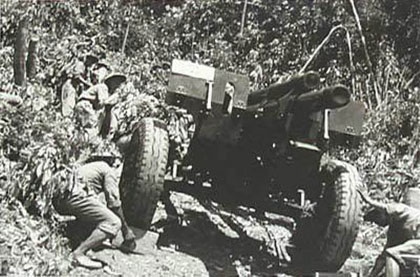 Nghệ thuật sử dụng pháo binh trong Chiến dịch Điện Biên Phủ- Ảnh 1.