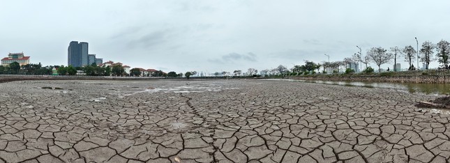 Nhiều ao, đầm quanh Hồ Tây rút nước, lòng cạn khô trơ đáy nứt nẻ như sa mạc- Ảnh 3.
