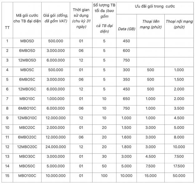 Tiết kiệm, quản lý dữ liệu doanh nghiệp cùng gói data mBiz- Ảnh 3.