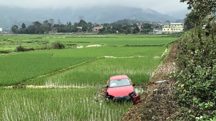 Ảnh TNGT: Mất lái Audi A6 lao thẳng xuống ruộng- Ảnh 1.