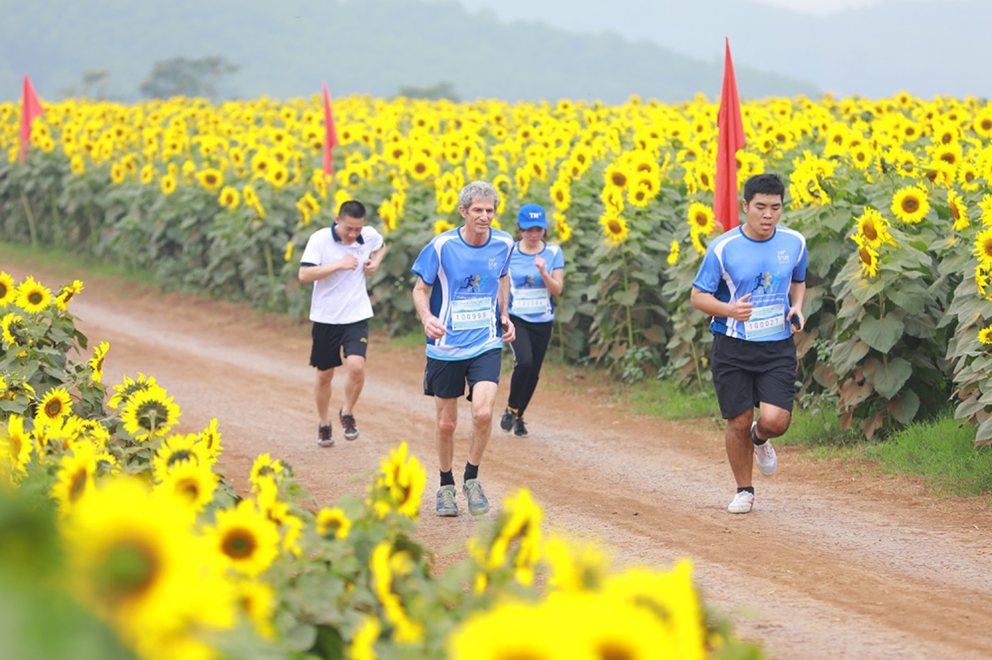 Đẹp ấn tượng, đồng cỏ 2.300 ha ven đường mòn Hồ Chí Minh thành điểm check-in- Ảnh 11.