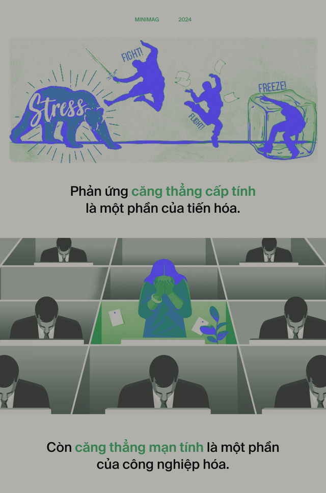 Ai đã "phát minh" ra stress: Tác nhân của 80% bệnh tật trên đời, bao gồm cả ung thư?- Ảnh 15.