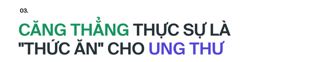 Ai đã "phát minh" ra stress: Tác nhân của 80% bệnh tật trên đời, bao gồm cả ung thư?- Ảnh 20.