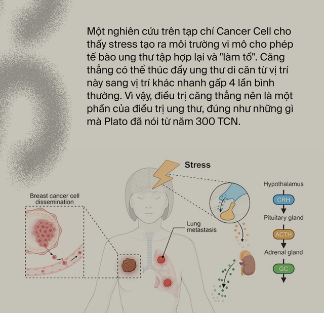 Ai đã "phát minh" ra stress: Tác nhân của 80% bệnh tật trên đời, bao gồm cả ung thư?- Ảnh 2.