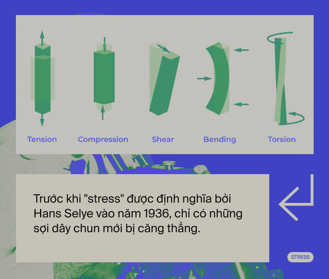 Ai đã "phát minh" ra stress: Tác nhân của 80% bệnh tật trên đời, bao gồm cả ung thư?- Ảnh 8.