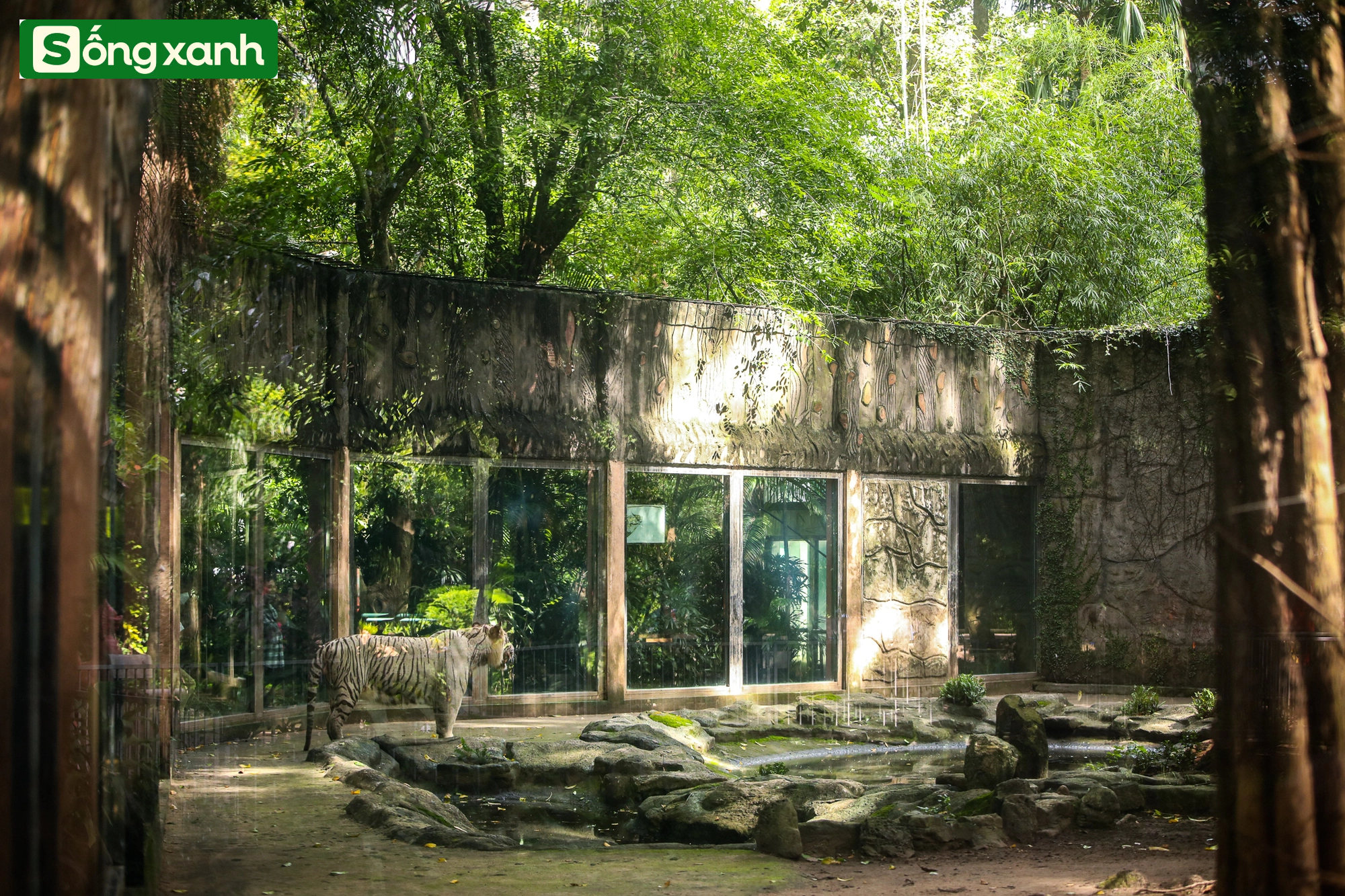 Những 'khu rừng' xanh mát quý như ngọc ở thành phố giàu có và đông dân nhất Việt Nam- Ảnh 4.