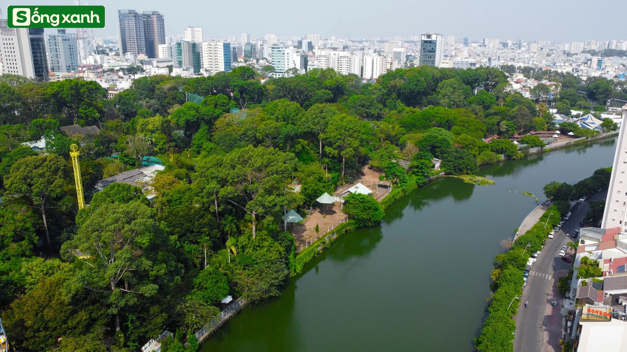 Những 'khu rừng' xanh mát quý như ngọc ở thành phố giàu có và đông dân nhất Việt Nam- Ảnh 5.