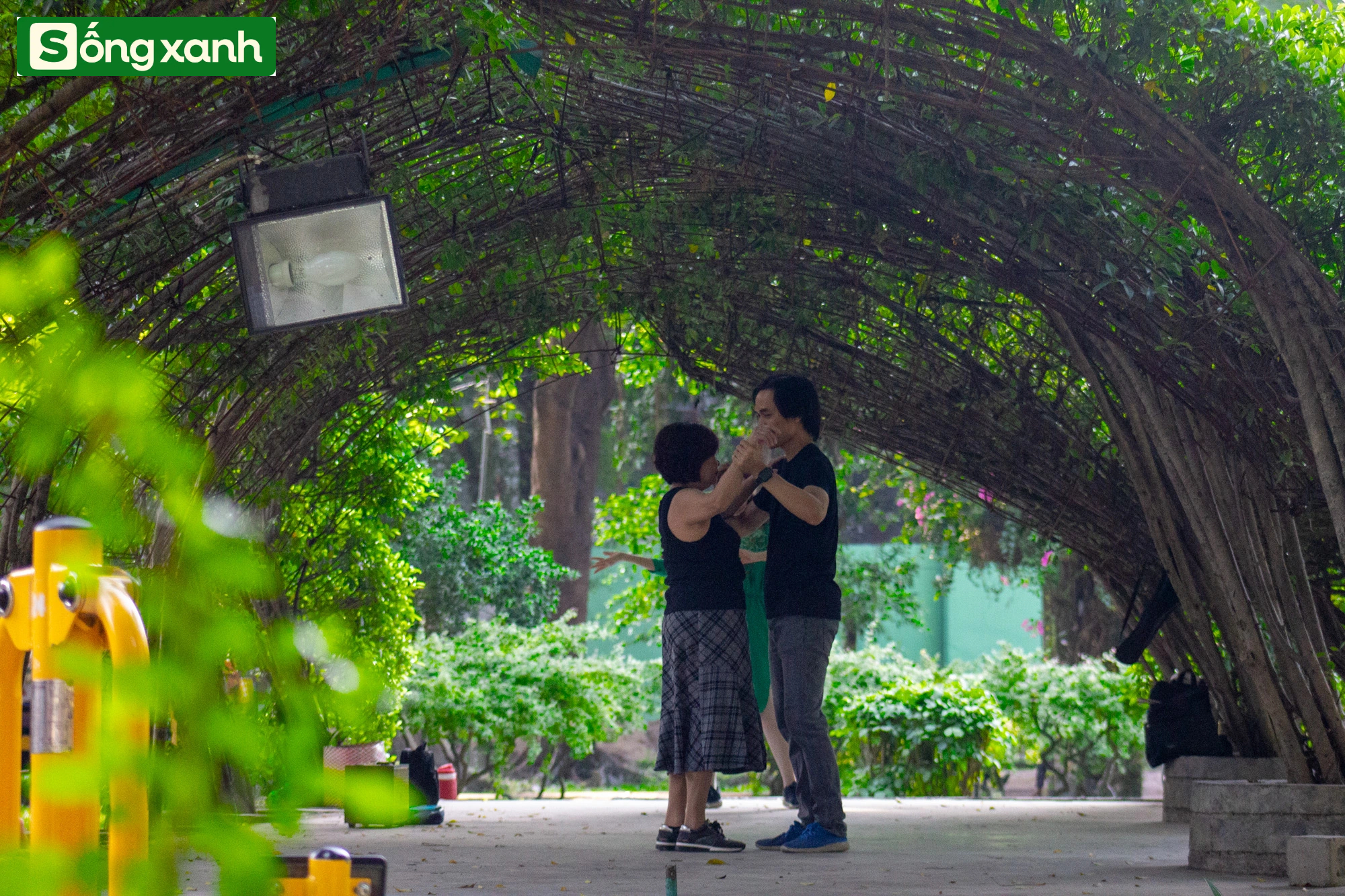 Những 'khu rừng' xanh mát quý như ngọc ở thành phố giàu có và đông dân nhất Việt Nam- Ảnh 10.
