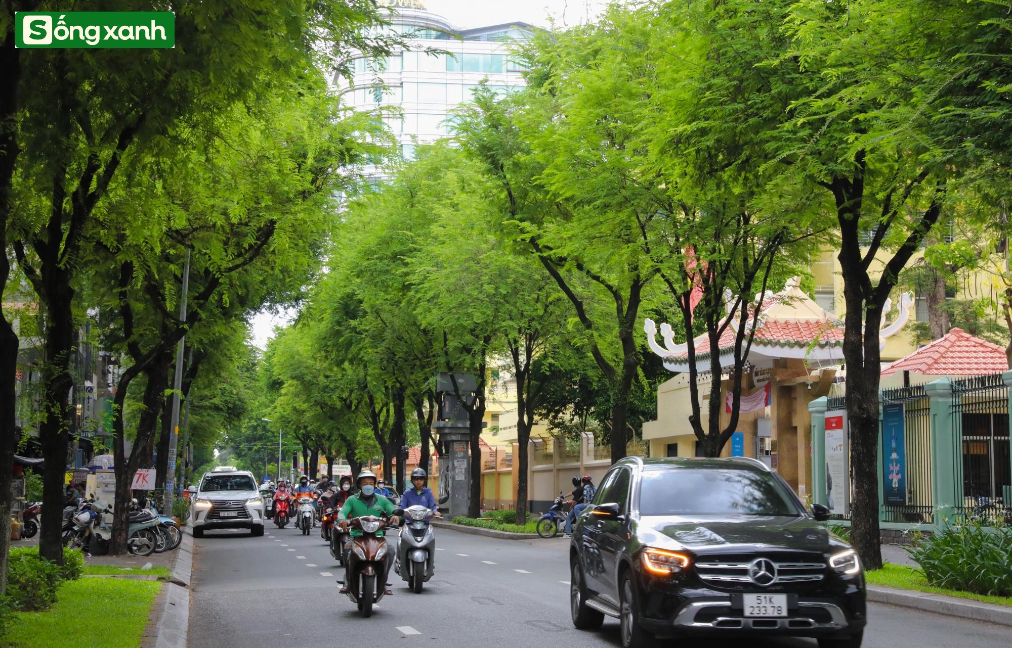 Những 'khu rừng' xanh mát quý như ngọc ở thành phố giàu có và đông dân nhất Việt Nam- Ảnh 14.