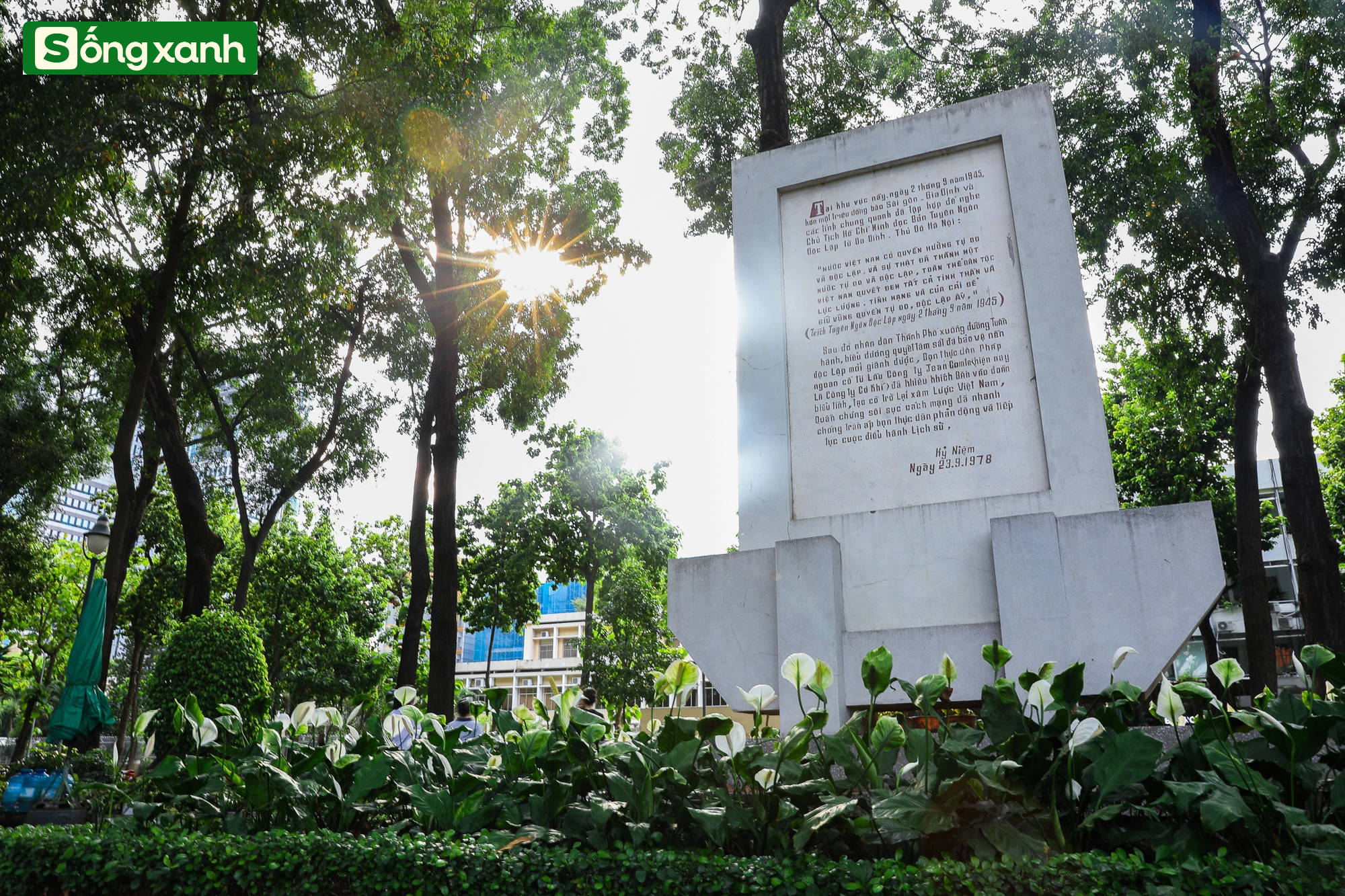 Những 'khu rừng' xanh mát quý như ngọc ở thành phố giàu có và đông dân nhất Việt Nam- Ảnh 18.