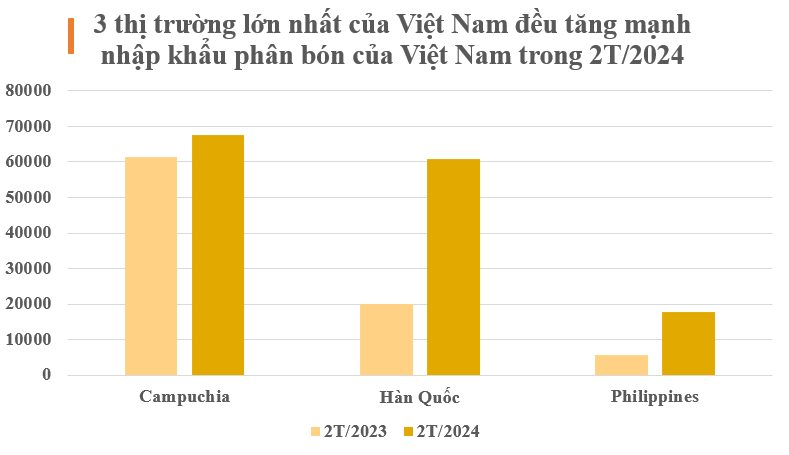 Trung Quốc cấm xuất khẩu, một mặt hàng của Việt Nam lên ngôi vương tại châu Á: Hàn Quốc tăng mua hơn 200%, thu gần 150 triệu USD trong 2 tháng- Ảnh 3.