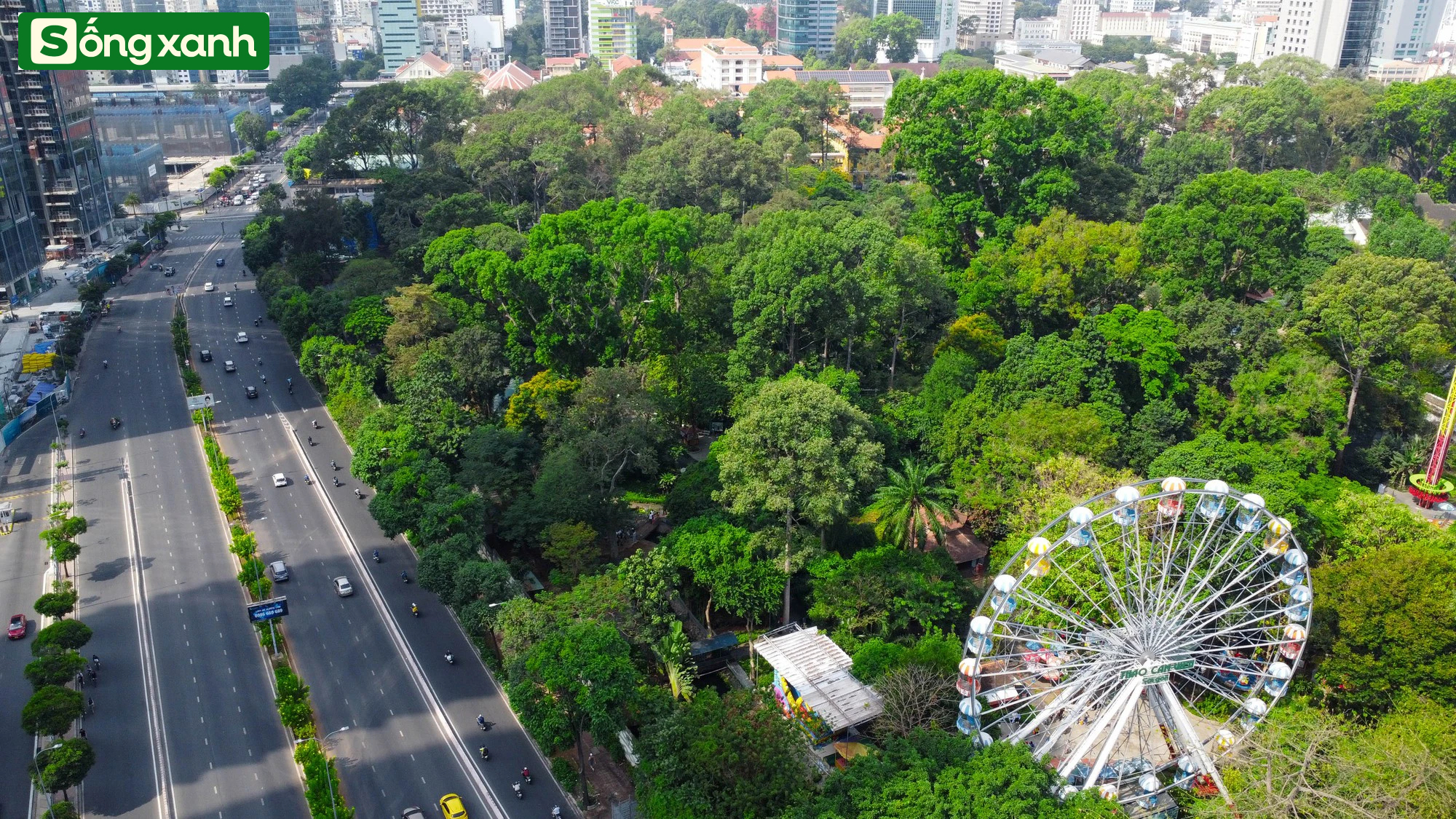 Những 'khu rừng' xanh mát quý như ngọc ở thành phố giàu có và đông dân nhất Việt Nam- Ảnh 3.