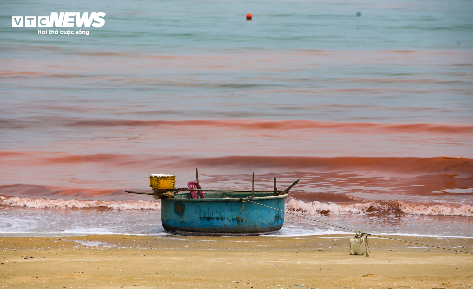 Nước biển ở Hà Tĩnh có màu đỏ như ‘máu’- Ảnh 4.