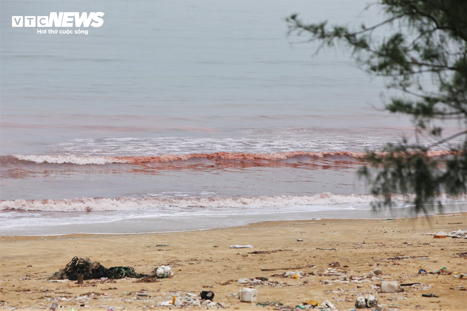 Nước biển ở Hà Tĩnh có màu đỏ như ‘máu’- Ảnh 10.