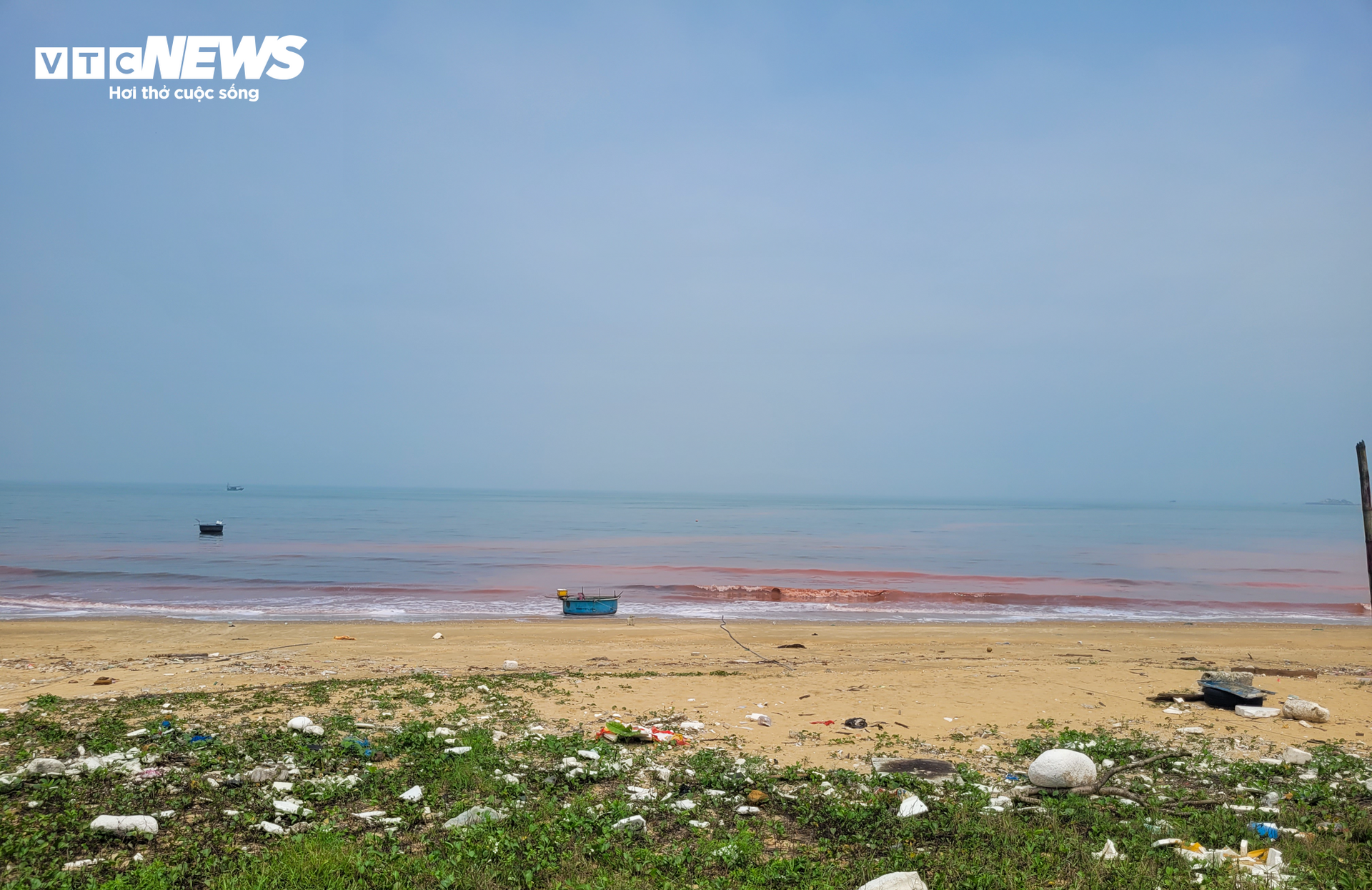 Nước biển ở Hà Tĩnh có màu đỏ như ‘máu’- Ảnh 5.