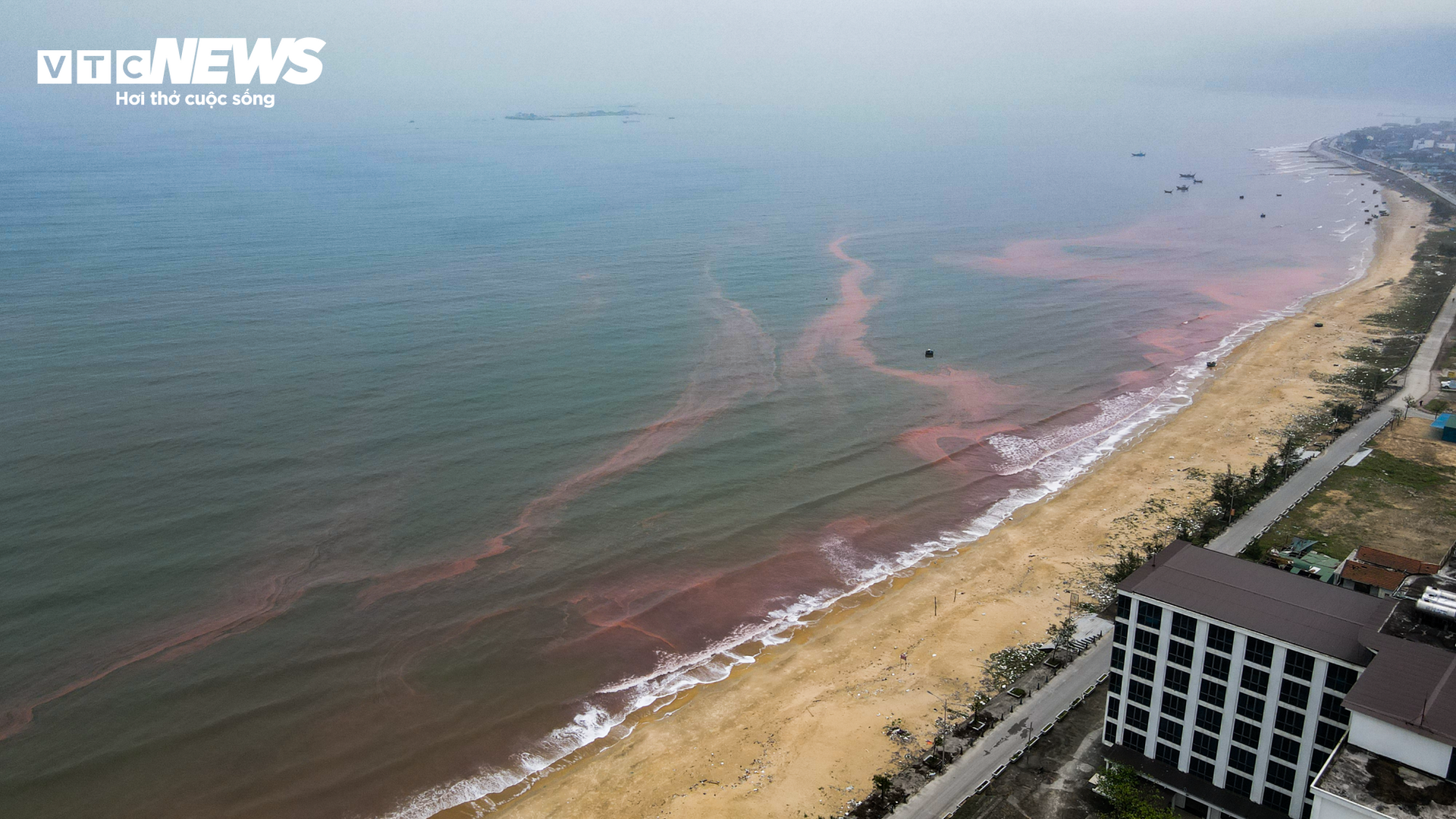 Nước biển ở Hà Tĩnh có màu đỏ như ‘máu’- Ảnh 6.