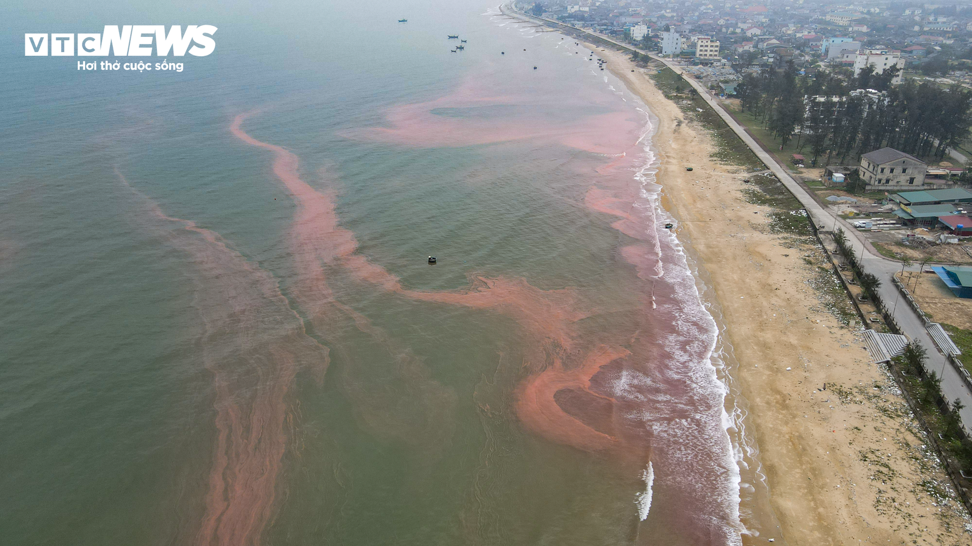 Nước biển ở Hà Tĩnh có màu đỏ như ‘máu’- Ảnh 8.