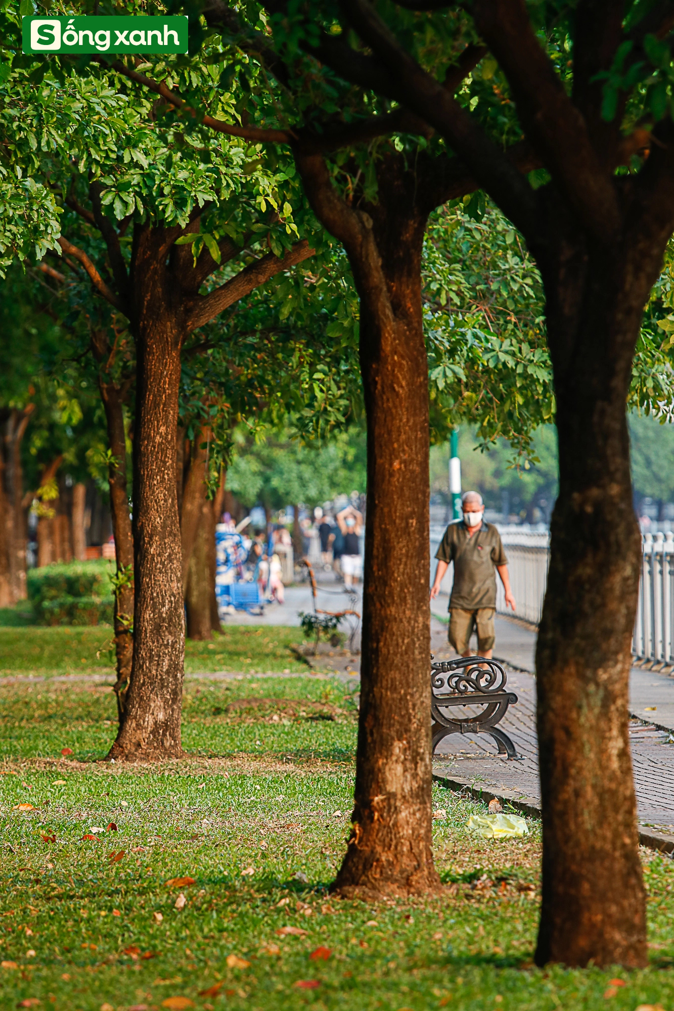 Những 'khu rừng' xanh mát quý như ngọc ở thành phố giàu có và đông dân nhất Việt Nam- Ảnh 21.