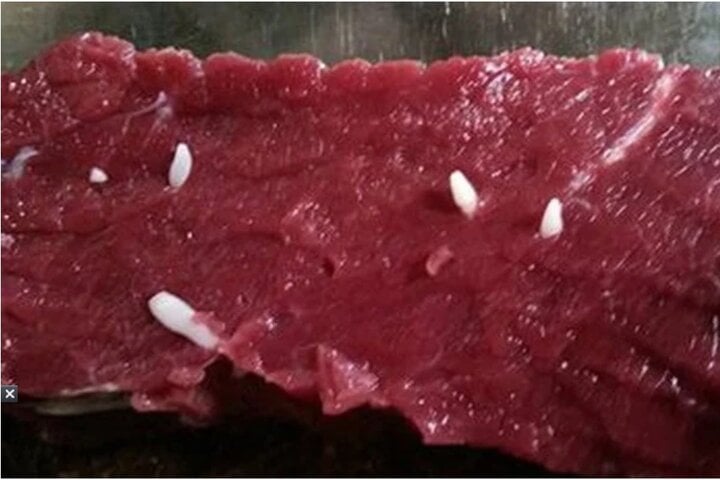 Cách phân biệt thịt bò sạch và thịt bò nhiễm sán- Ảnh 2.