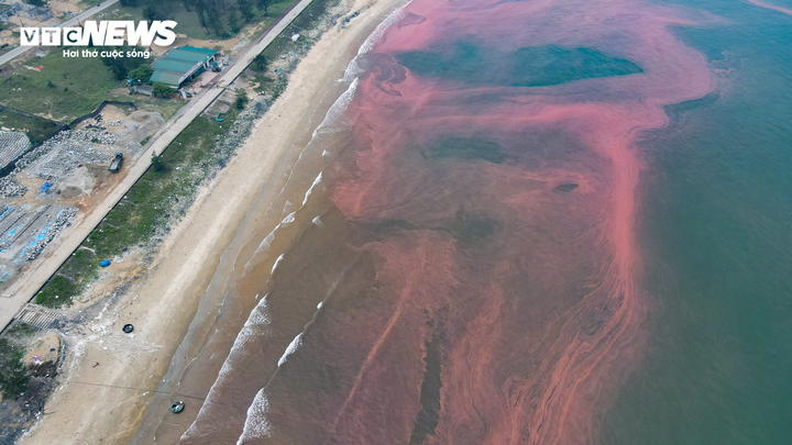 Nước biển ở Hà Tĩnh có màu đỏ do tảo nở hoa- Ảnh 1.