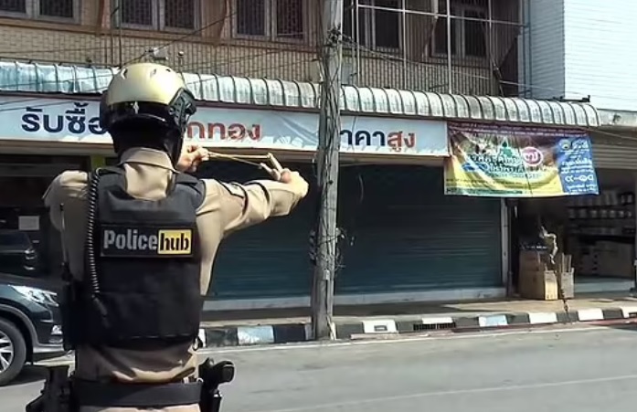 Video cảnh sát Thái Lan dùng súng cao su đối phó các 'băng đảng khỉ'- Ảnh 1.