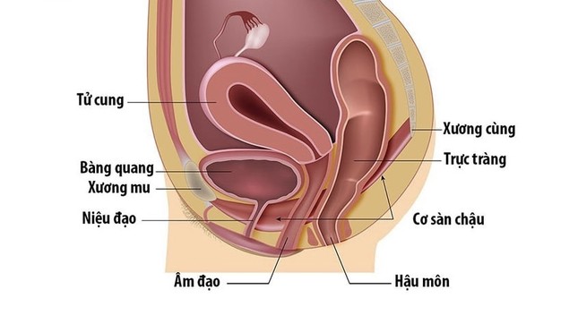 Làm gì để ‘cô bé’ săn chắc hơn?- Ảnh 1.