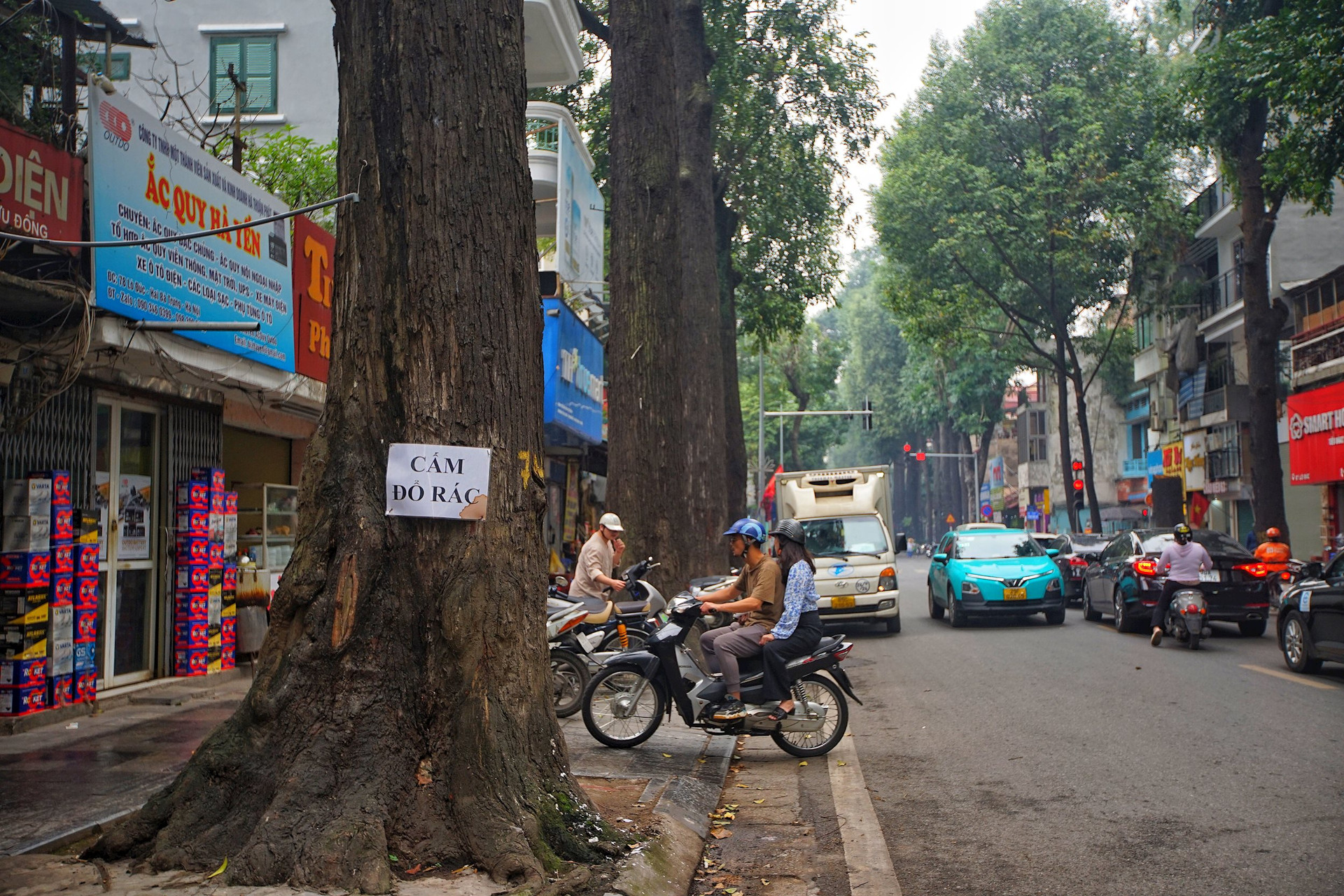 Hà Nội: Hàng cây sao đen trăm tuổi trên phố Lò Đúc- Ảnh 10.