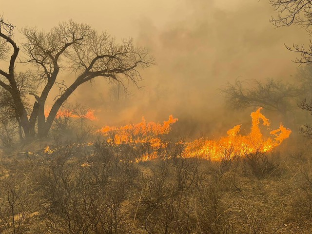 Vụ cháy rừng Smokehouse Creek ở Texas nghiêm trọng nhất trong lịch sử nước Mỹ- Ảnh 1.