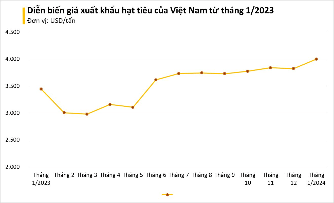 Đức bất ngờ săn lùng hàng trăm tấn 'vàng trên cây' của Việt Nam: tăng nhập khẩu hơn 400%, giá lập đỉnh giúp người dân trúng đậm- Ảnh 3.