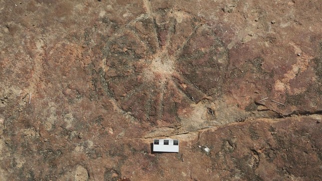 Discovering a 9,000-year-old work of art next to dinosaur footprints - Photo 1.