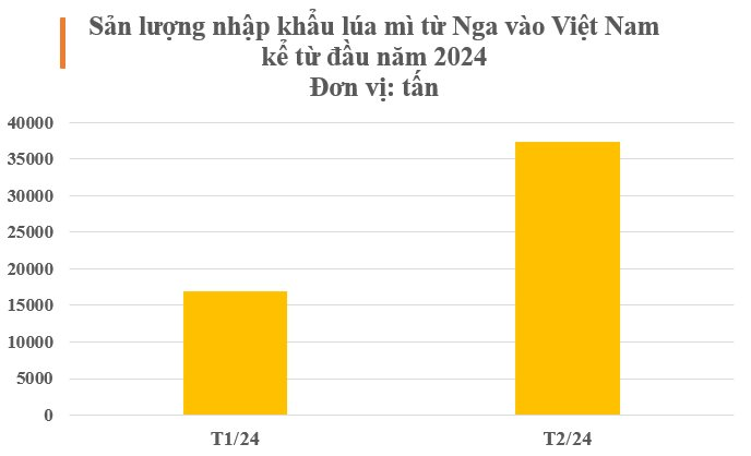 Nga ưu ái xuất sang Việt Nam báu vật đang khiến châu Âu ‘đau đầu’: Giá rẻ áp đảo các đối thủ, nước ta chi gần 300 triệu USD mua hàng- Ảnh 4.