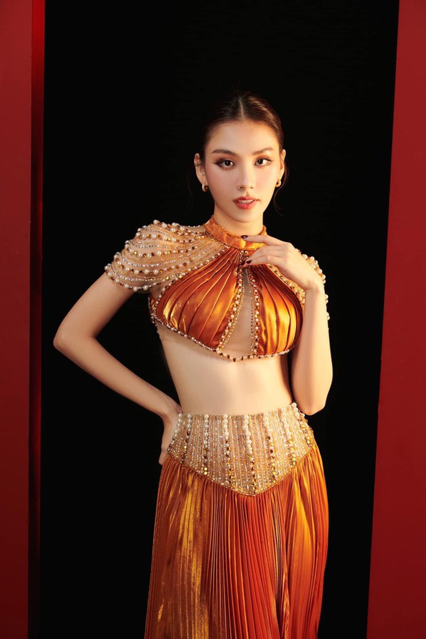 Mai Phương liên tục thi trượt ở Miss World, vì sao?- Ảnh 5.